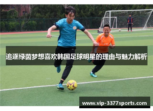 追逐绿茵梦想喜欢韩国足球明星的理由与魅力解析